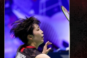 展示的舞台 展示的舞台