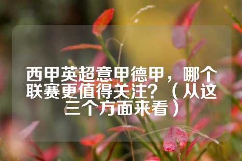 赏性 赏性