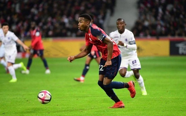 被逼入绝境 被逼入绝境